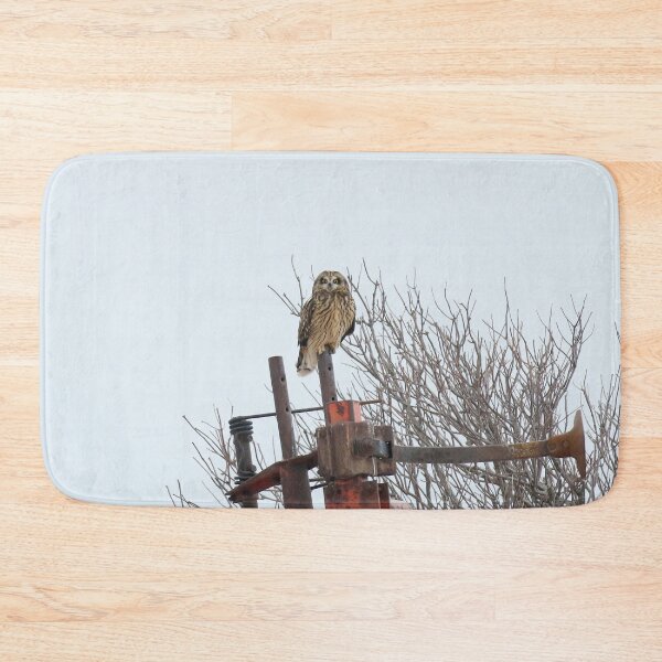 Item preview, Short eared owl designed and sold by locustgirl.