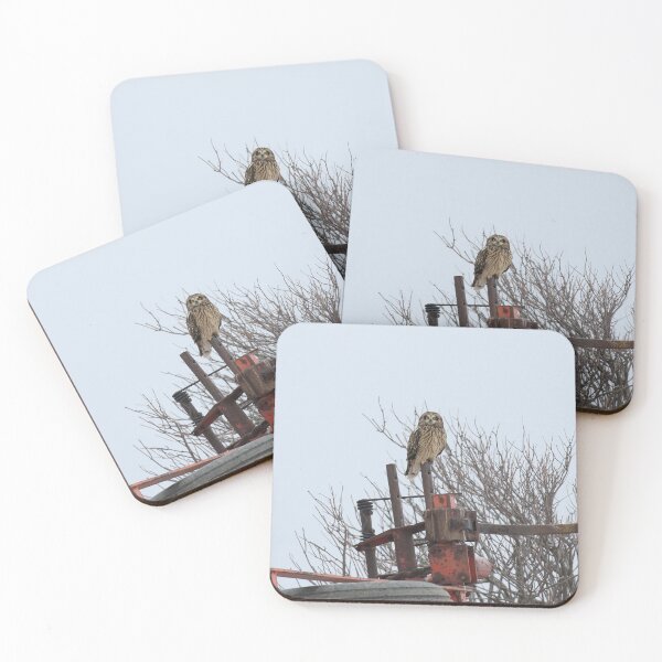 Item preview, Short eared owl farmer designed and sold by locustgirl.