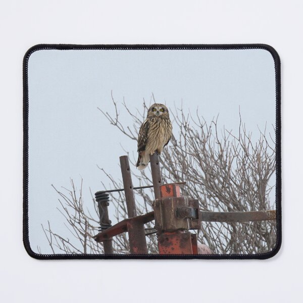 Item preview, Short eared owl farmer designed and sold by locustgirl.