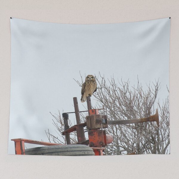 Item preview, Short eared owl designed and sold by locustgirl.