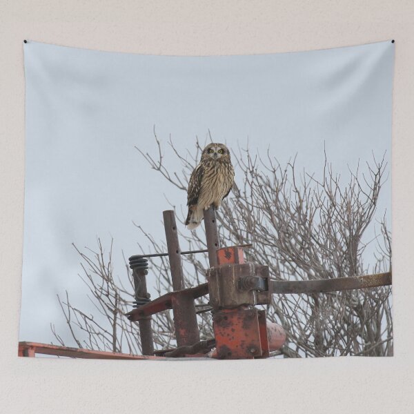 Item preview, Short eared owl farmer designed and sold by locustgirl.
