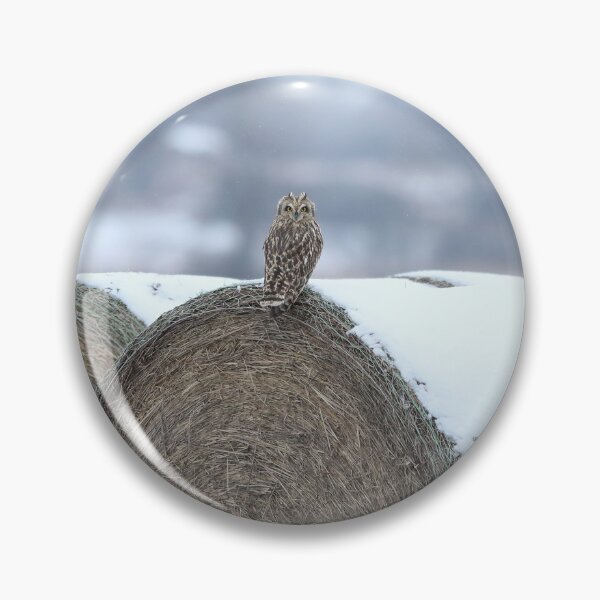Item preview, Shortie on hay designed and sold by locustgirl.