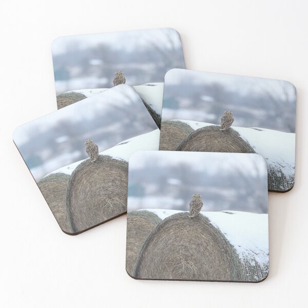 Item preview, Shortie on hay designed and sold by locustgirl.