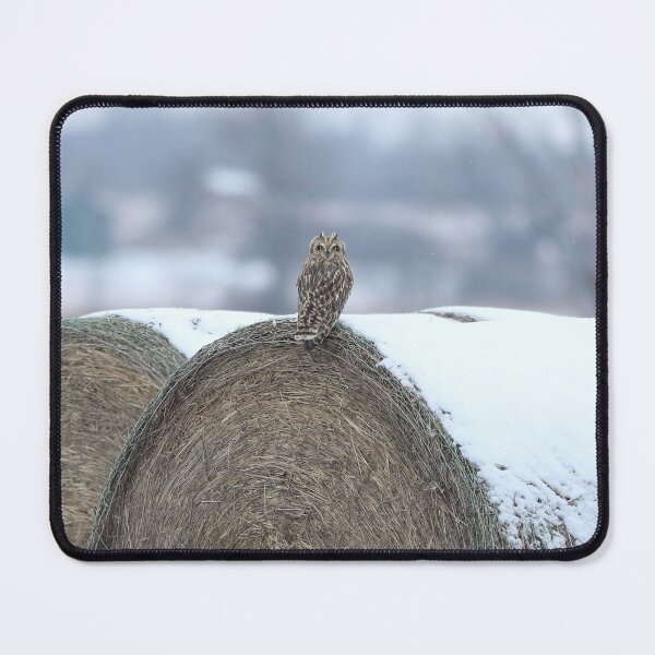 Item preview, Shortie on hay designed and sold by locustgirl.