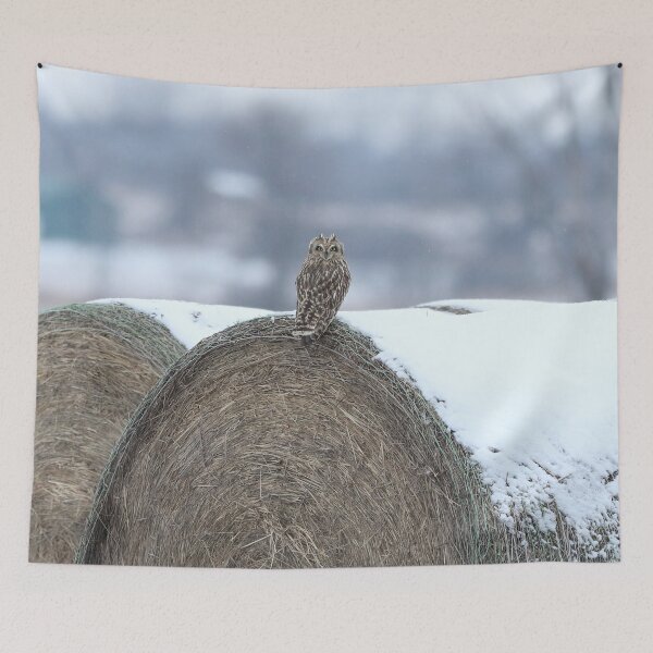 Item preview, Shortie on hay designed and sold by locustgirl.