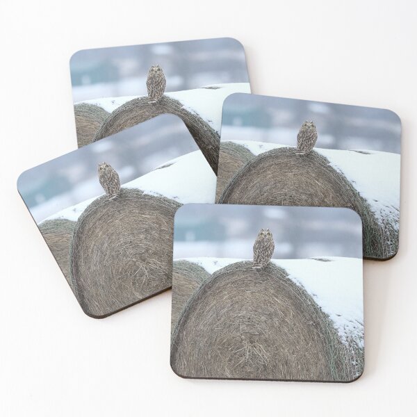 Item preview, Short eared owl camo designed and sold by locustgirl.