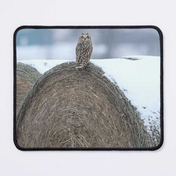 Item preview, Short eared owl camo designed and sold by locustgirl.