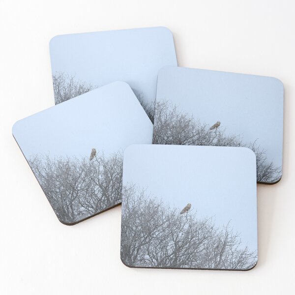 Item preview, Short eared owl and wispy trees designed and sold by locustgirl.