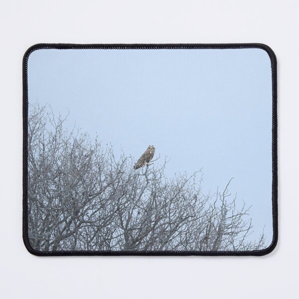 Item preview, Short eared owl and wispy trees designed and sold by locustgirl.