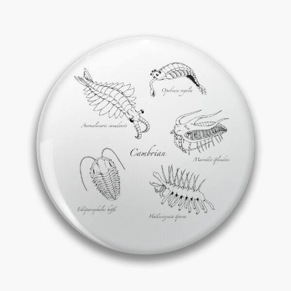 Item preview, Cambrian Life (Hand Writing Style Font) designed and sold by DavidNeffArt.