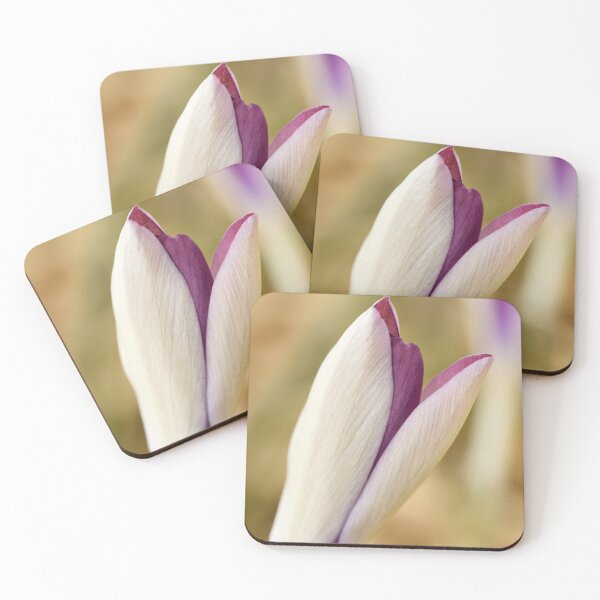 Item preview, Crocus tommasinianus  'Roseus'  designed and sold by Chris Burrows.