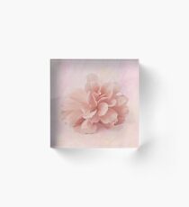 Peach Begonia Fringed Petals Acrylic Block