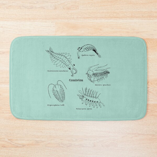 Item preview, Cambrian Life (Chalkboard Style Font) designed and sold by DavidNeffArt.