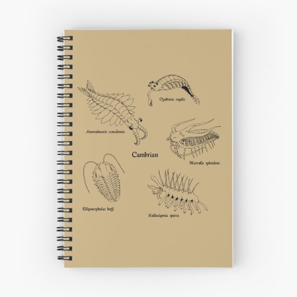 Item preview, Cambrian Life (Textbook Style Font) designed and sold by DavidNeffArt.