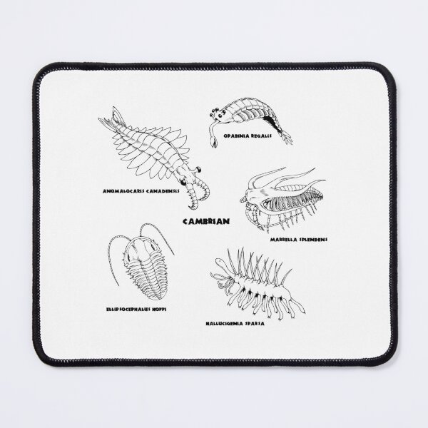 Item preview, Cambrian Life (Brush Stroke Style Font) designed and sold by DavidNeffArt.