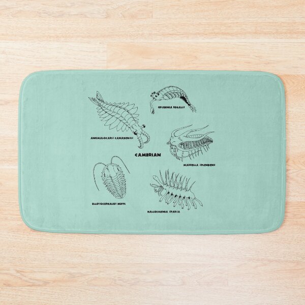 Item preview, Cambrian Life (Brush Stroke Style Font) designed and sold by DavidNeffArt.