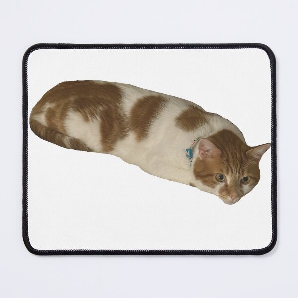 Item preview, Cat Called Pumpkin Slug designed and sold by PumpkinsMomb.