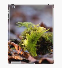 Behan câr iPad Case/Skin