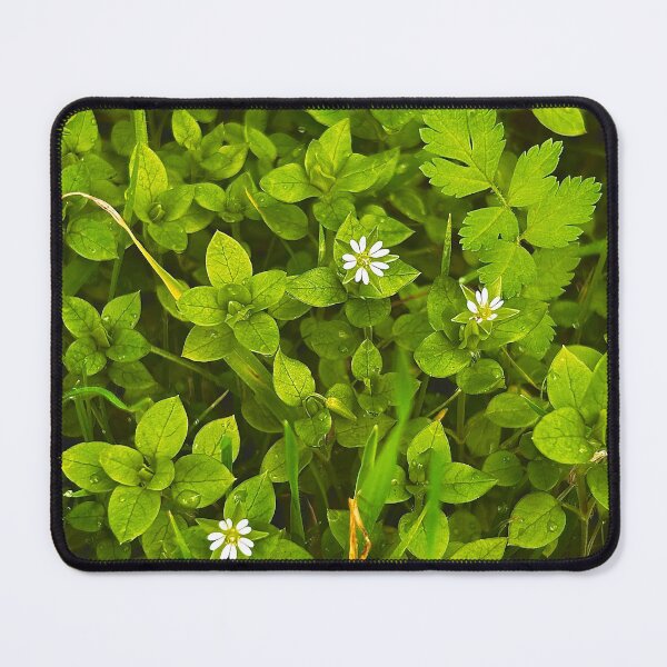 Item preview, Little Flowers designed and sold by winterlandnatka.