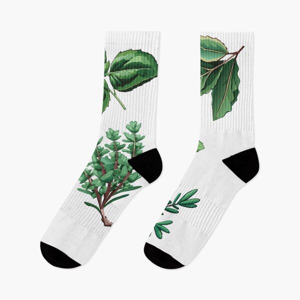 Item preview, 3 Variety Cooking Herbs  designed and sold by sweetdreamers.