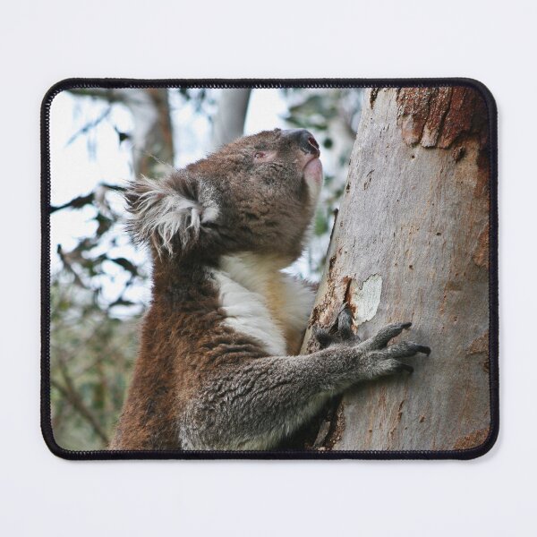 Item preview, Climbing Koala designed and sold by ezcreate.media.