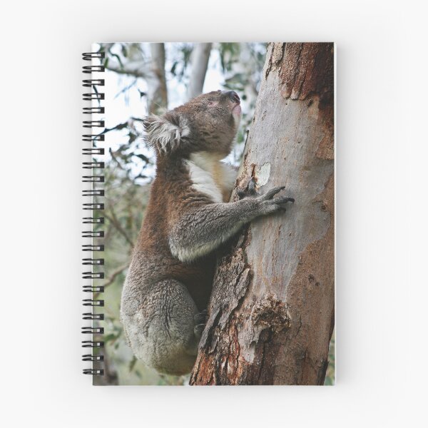 Item preview, Climbing Koala designed and sold by ezcreate.media.