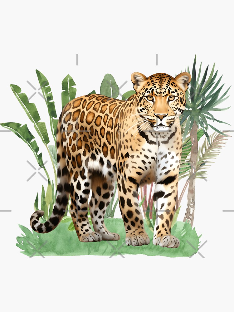 Decalcomania Per Scivolo Acquatico Dynam Messerschmitt BF-109 - Foto 9