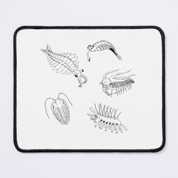 Item preview, Cambrian Life (No Font) designed and sold by DavidNeffArt.