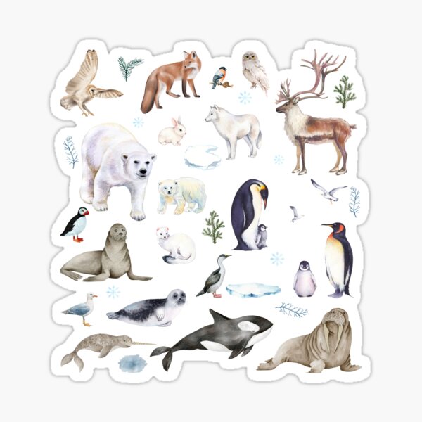 Item preview, Arctic Animals designed and sold by Fairymeshop.