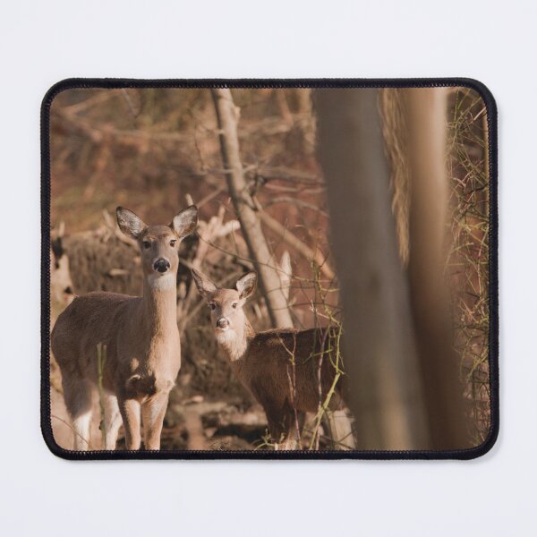 Item preview, Series: Deer 5 designed and sold by SMFOTO.