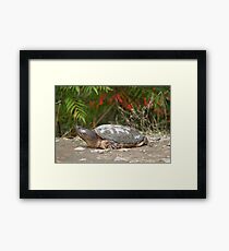 Gigantasaurus Framed Print