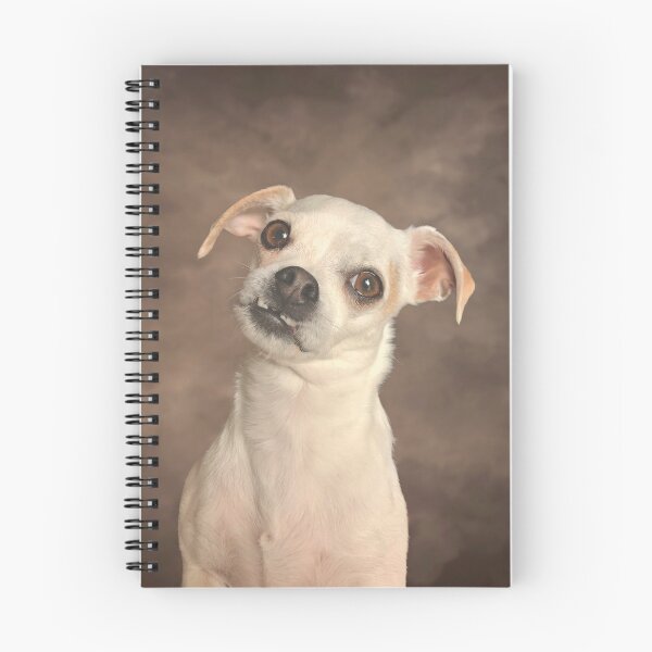 Item preview, retrato escolar designed and sold by SMFOTO.