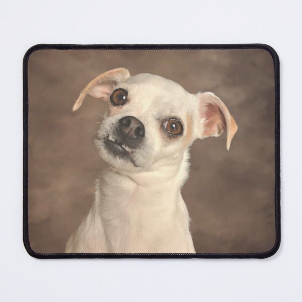 Item preview, School Portrait designed and sold by SMFOTO.
