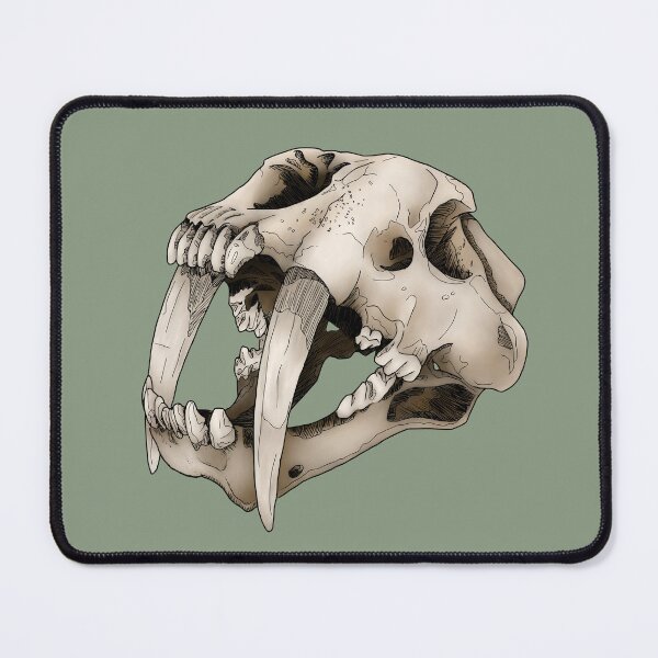 Item preview, Saber-Toothed Cat Skull designed and sold by Moon Dog Art.