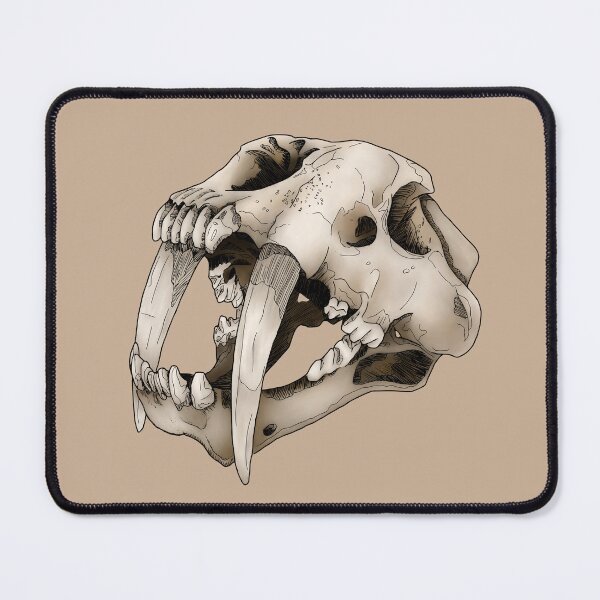 Item preview, Saber-Toothed Cat Skull designed and sold by Moon Dog Art.
