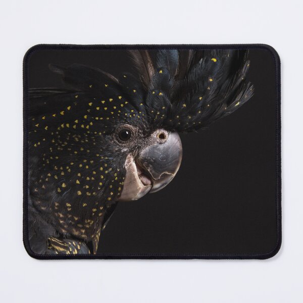 Item preview, Red-tailed Black Cockatoo #2 designed and sold by Images by Chris de Blank.