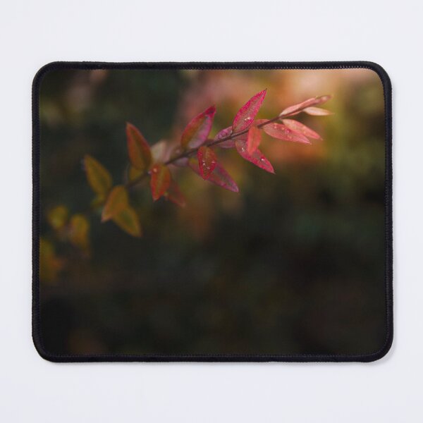 Item preview, Spotlight in the garden designed and sold by Est-Image-Co.