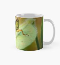 Bouncy Bugs Classic Mug