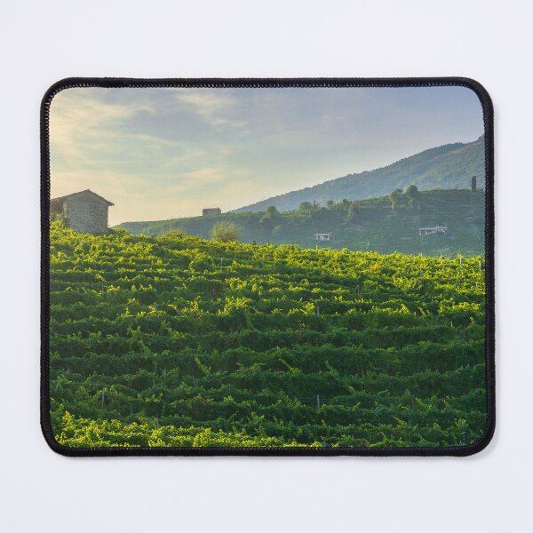 Item preview, Vineyards of Prosecco at sunset. Valdobbiadene, Italy designed and sold by Stefano Orazzini.