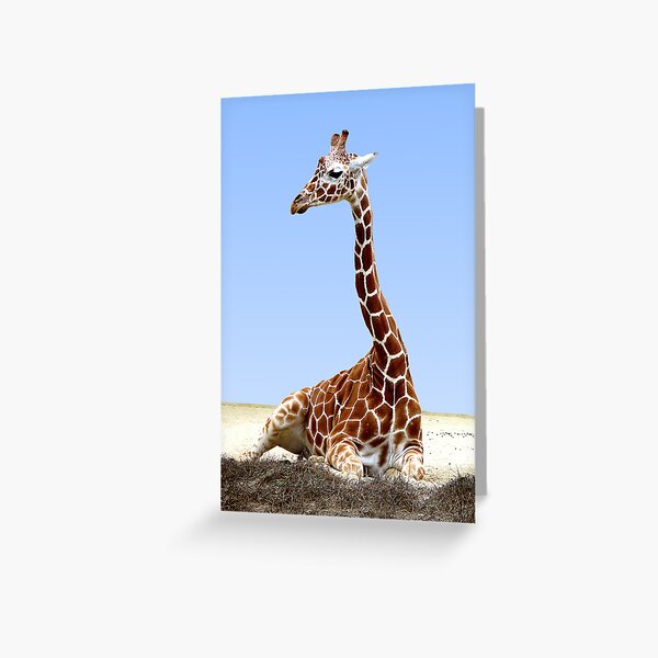 Item preview, RESTING GIRAFFE designed and sold by Michael Sheridan.