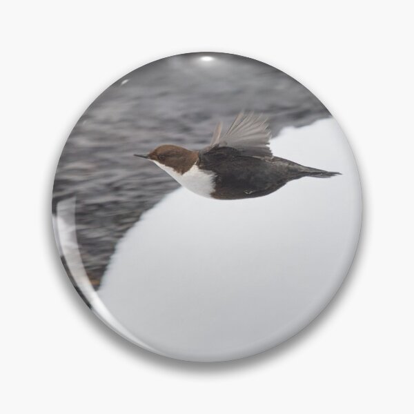 Item preview, Just flying profile. White-throated dipper designed and sold by Jouko Lehto Photography.