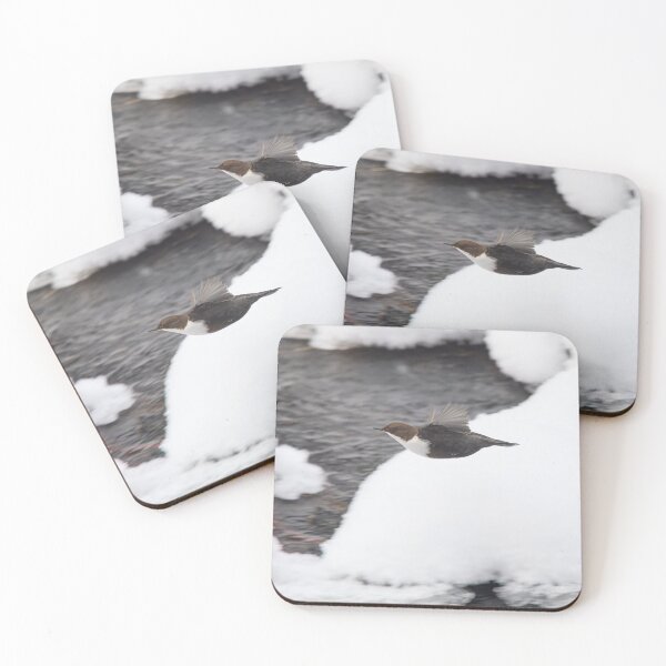 Item preview, Just flying profile. White-throated dipper designed and sold by Jouko Lehto Photography.