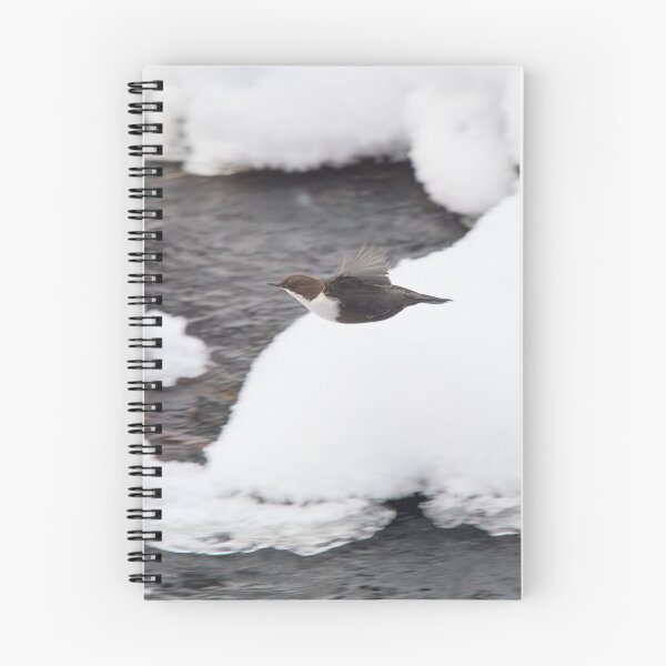 Item preview, Just flying profile. White-throated dipper designed and sold by Jouko Lehto Photography.