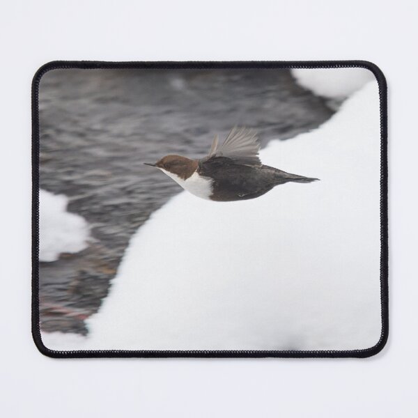Item preview, Just flying profile. White-throated dipper designed and sold by Jouko Lehto Photography.
