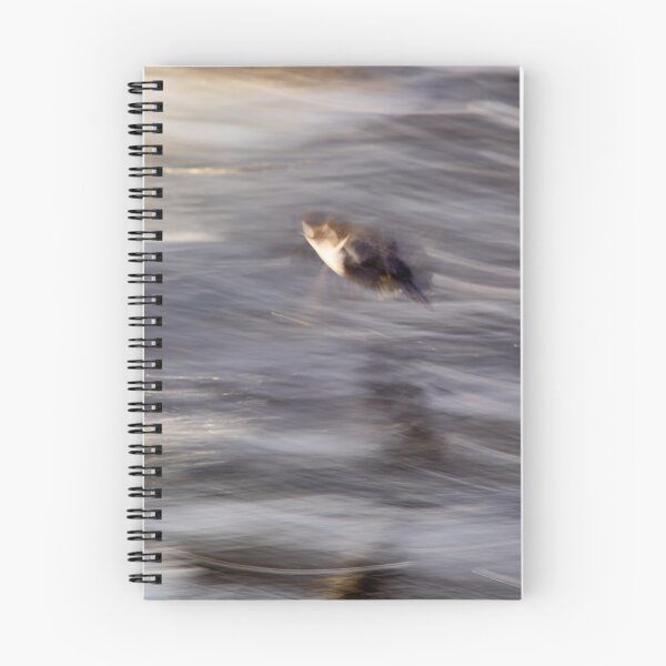 Item preview, Fairy of the river. White-throated dipperFairy of the river. White-throated dipper designed and sold by Jouko Lehto Photography.