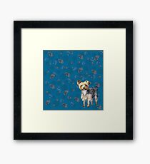 Yorkie on blue Framed Print