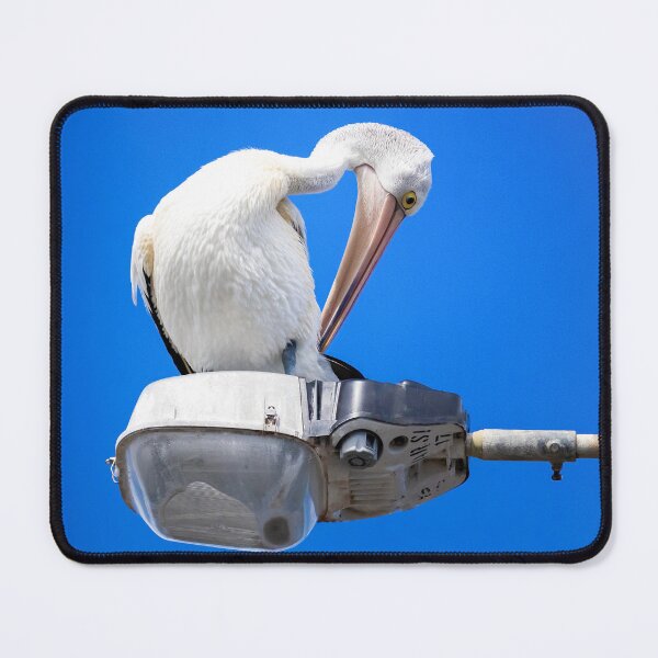 Item preview, Pelican Lampost Narabeen - pelican designed and sold by Tara Smithson.