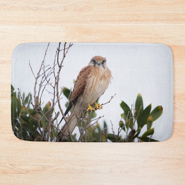 Item preview, Nankeen Kestrel at Dusk - kestrel designed and sold by Tara Smithson.