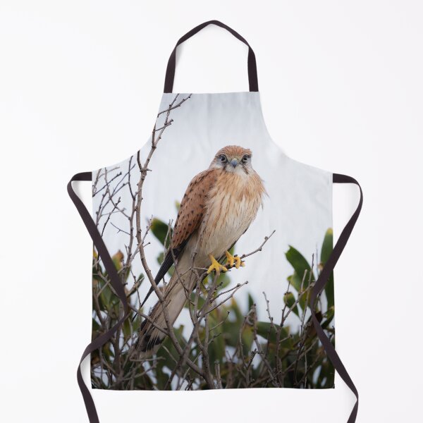 Item preview, Nankeen Kestrel at Dusk - kestrel designed and sold by Tara Smithson.