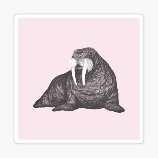 Item preview, Frank Wallace in Pink | Walrus Drawing designed and sold by BlueHazeStudio.